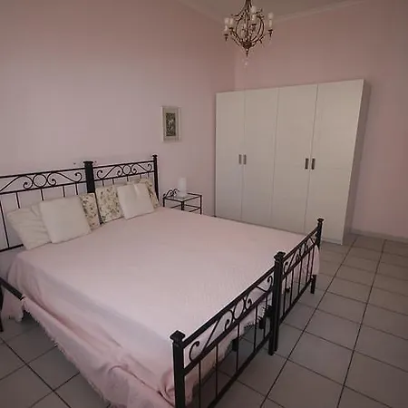 L'olivo * Pisa